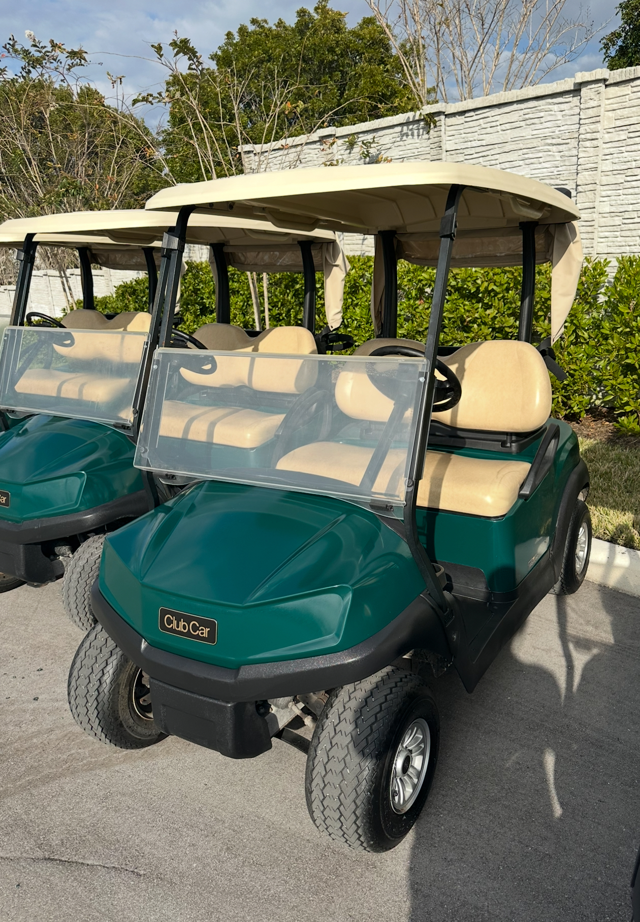 Golf Cart Deal 1